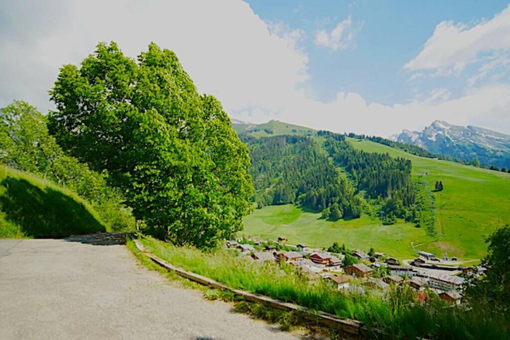 Appartement Cozy Dans Chalet 6 Pers Voiture 4 Roues Motrice A Dispo 拉克吕萨 外观 照片